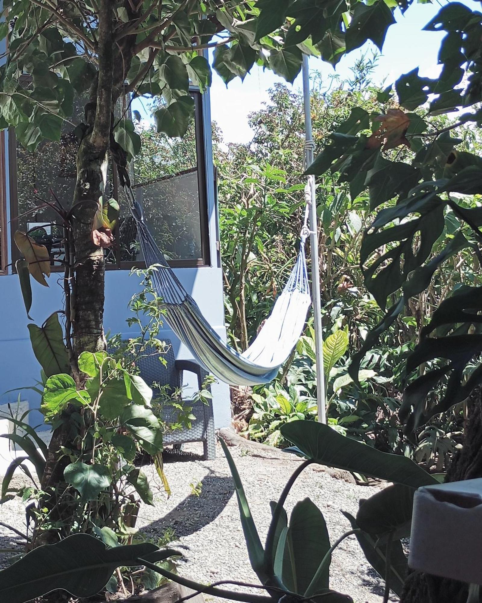 Monteverde Cecropia Paradise 部屋 写真