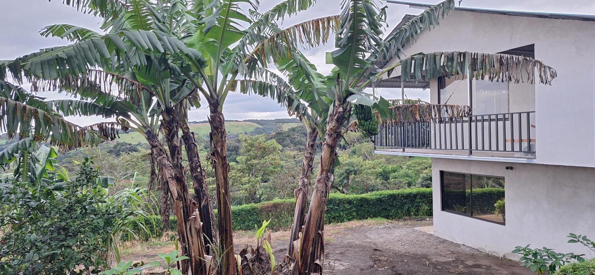 Monteverde Cecropia Paradiseアパートメント 部屋 写真