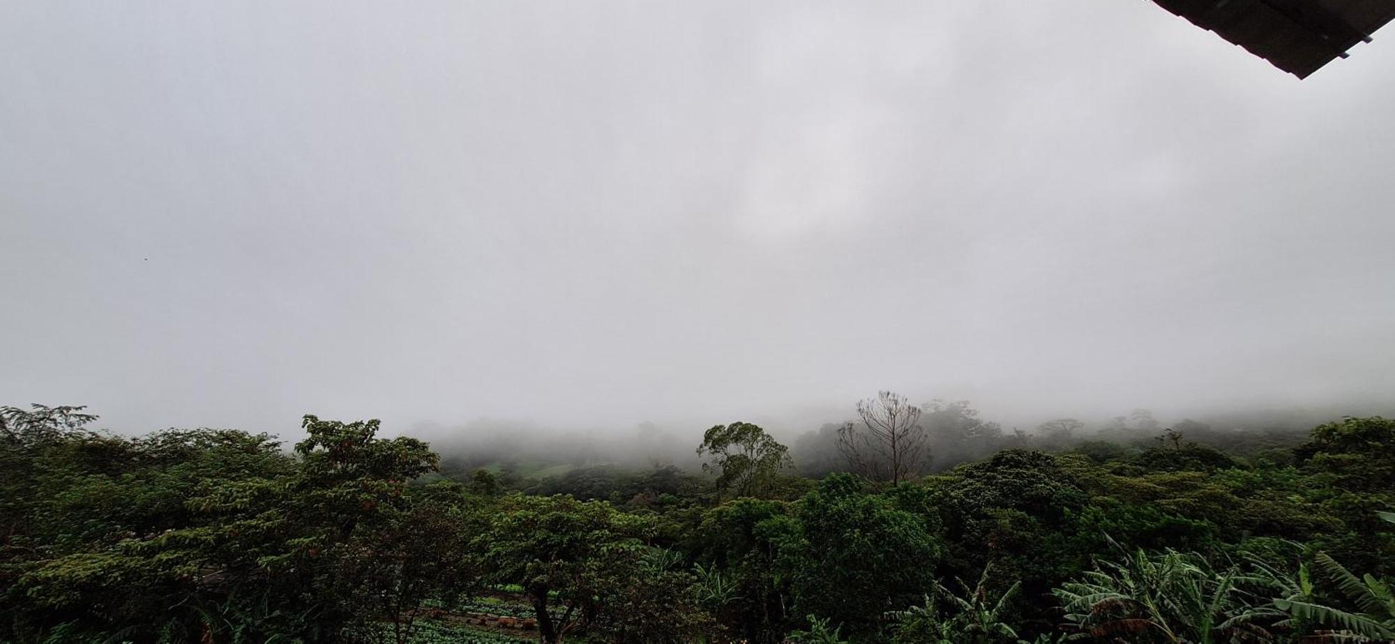 Monteverde Cecropia Paradiseアパートメント 部屋 写真