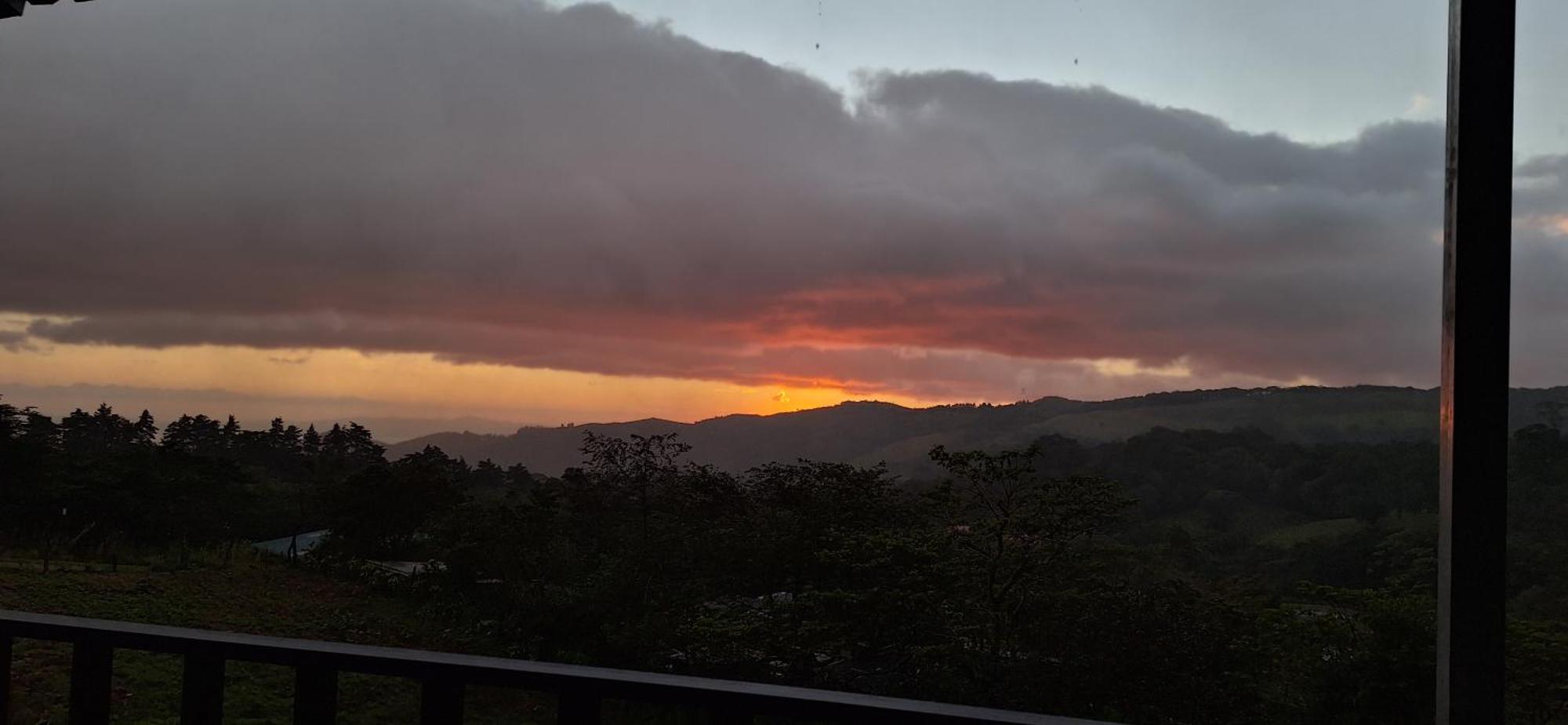 Monteverde Cecropia Paradise 部屋 写真