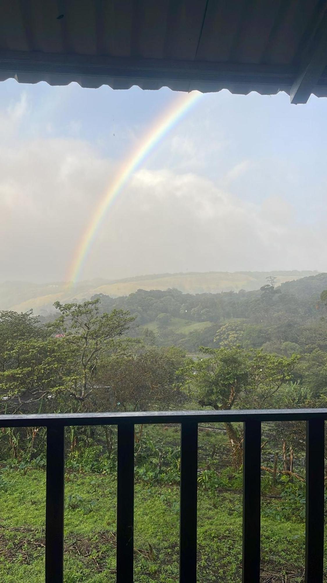 Monteverde Cecropia Paradise 部屋 写真