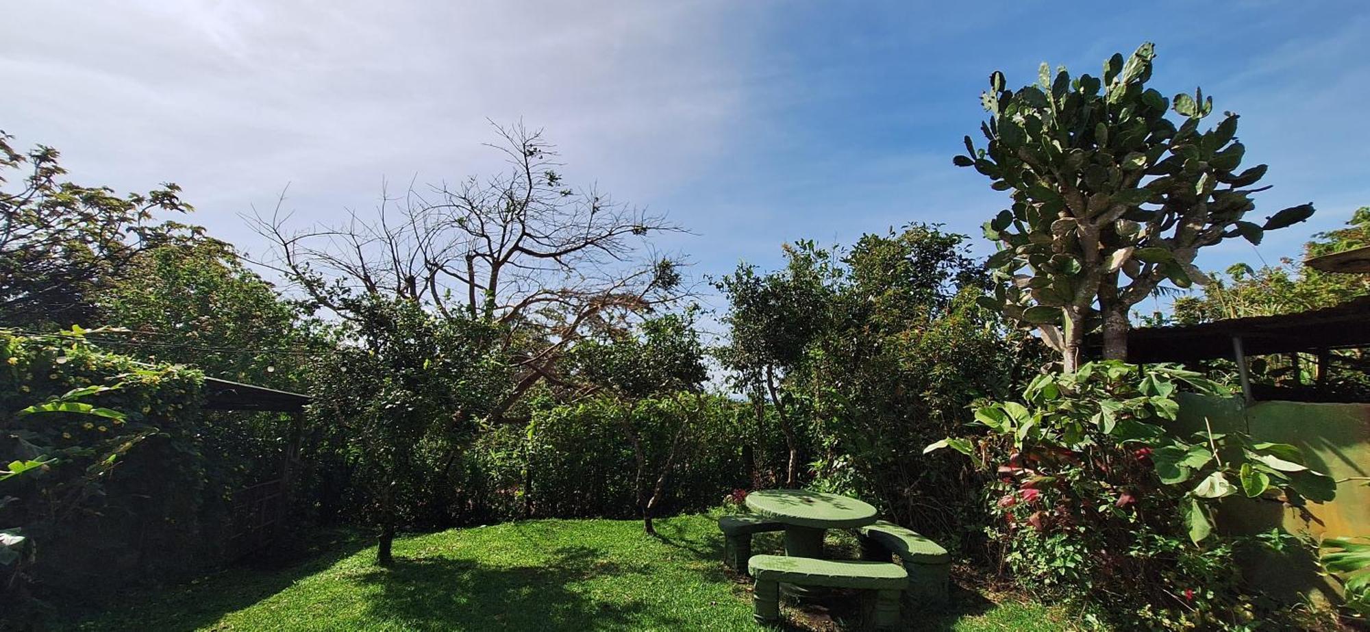 Monteverde Cecropia Paradise 部屋 写真