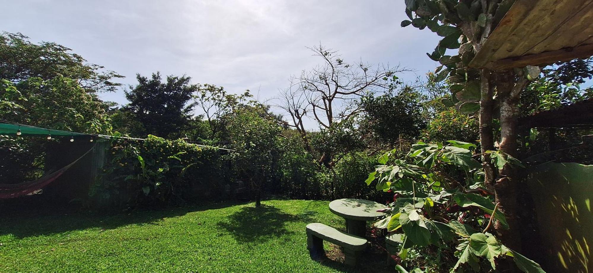 Monteverde Cecropia Paradise 部屋 写真